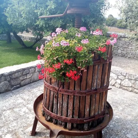 Κατάλυμα σε φάρμα Masseria Cappuccini